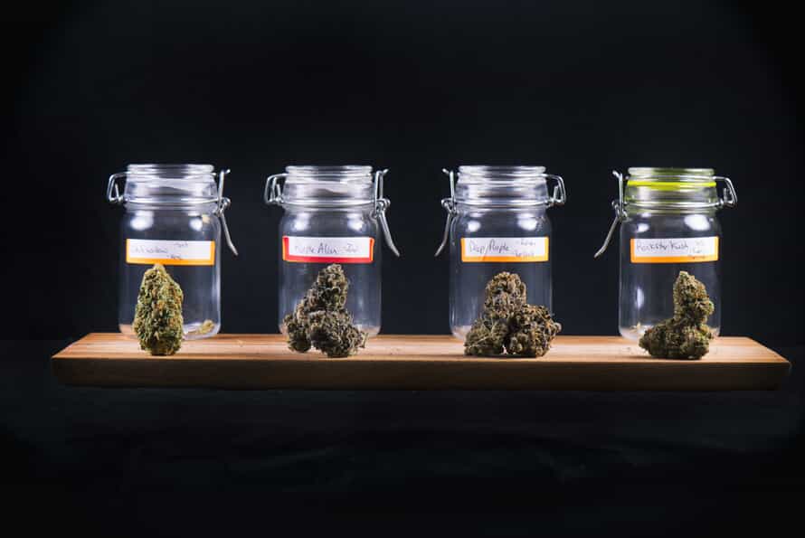 Various Types of Marijuana in Jars